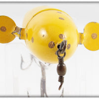 UTK Yellow Gold Spots Success Spinner