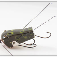 Creek Chub Frog Wee Dee 4819