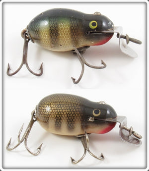 Vintage Creek Chub Perch & Pikie Scale Tiny Tim Lure Pair