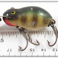 Creek Chub Perch & Pikie Scale Tiny Tim Pair