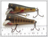 Creek Chub Perch & Pikie Scale Pop N Dunk Pair