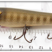 Creek Chub Pikie Scale Skipper 4600