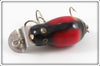 Creek Chub Redwing Blackbird Tiny Tim 6424