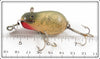 Creek Chub Silver Flash Tiny Tim 6418
