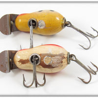 Creek Chub Spotted Tiny Tim Pair