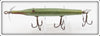 Creek Chub Green Gar Scale Gar Minnow 2920
