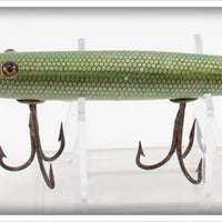 Creek Chub Green Gar Scale Gar Minnow 2920