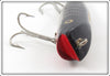 Creek Chub Black Scale Darter 2033