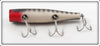 Creek Chub Black Scale Darter 2033