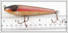 Creek Chub Dace Sarasota 3305 Special