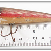 Creek Chub Dace Sarasota 3305 Special