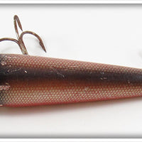 Creek Chub Dace Sarasota 3305 Special