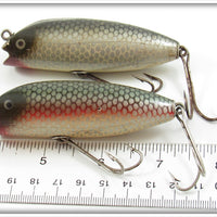Creek Chub Silver Shiner & Redside Open Mouth Shiner Pair