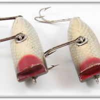 Creek Chub Silver Shiner & Redside Open Mouth Shiner Pair