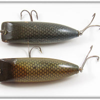 Creek Chub Silver Shiner & Chub? Open Mouth Shiner Pair
