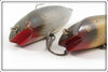 Creek Chub Silver Shiner & Chub? Open Mouth Shiner Pair
