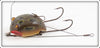 Creek Chug Frog Spot Weed Bug 2819