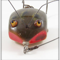 Creek Chug Frog Spot Weed Bug 2819