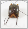 Creek Chug Frog Spot Weed Bug 2819