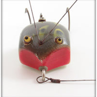 Creek Chug Frog Spot Weed Bug 2819