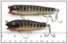 Creek Chub Black Scale Darter & Midget Darter Pair