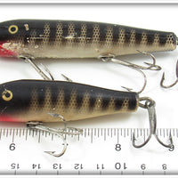 Creek Chub Black Scale Darter & Midget Darter Pair