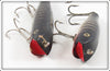Creek Chub Black Scale Darter & Midget Darter Pair