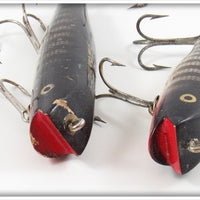 Creek Chub Black Scale Darter & Midget Darter Pair