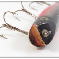 Creek Chub Dace Darter 2005 Special