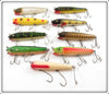 Creek Chub Darter Lot Of 9