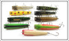 Creek Chub Darter Lot Of 9