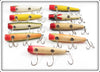 Creek Chub Darter Lot Of 9