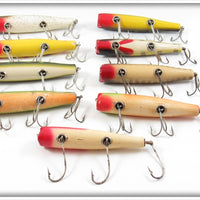 Creek Chub Darter Lot Of 9