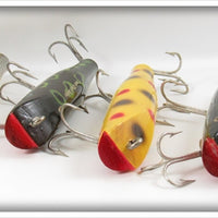 Creek Chub Darter Lot Of 9