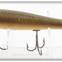 Creek Chub Greenback Darter 2009 Special