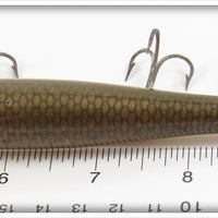 Creek Chub Greenback Darter 2009 Special
