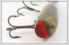 Creek Chub Greenback Darter 2009 Special