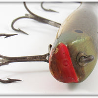 Creek Chub Greenback Darter 2009 Special