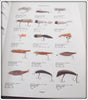 ** USA ONLY ** Karl White Fishing Tackle Antiques & Collectibles Book Set Of Three