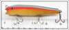 Creek Chub Rainbow Darter 2008 Special