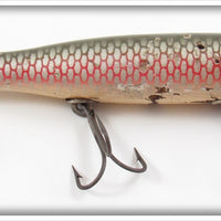 Vintage Creek Chub Early Redside Darter 2005 Special Lure