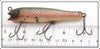 Creek Chub Early Redside Darter 2005 Special