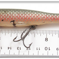 Creek Chub Early Redside Darter 2005 Special