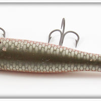 Creek Chub Early Redside Darter 2005 Special