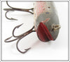 Creek Chub Early Redside Darter 2005 Special