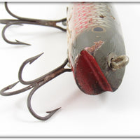 Creek Chub Early Redside Darter 2005 Special