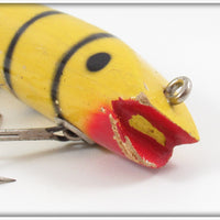 Creek Chub Tiger Stripe Darter 2039 Special