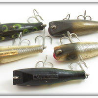 Creek Chub Concave Belly Midget Darter Lot Of Five