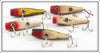 Creek Chub Concave Belly Midget Darter Lot Of Five
