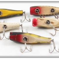 Creek Chub Concave Belly Midget Darter Lot Of Five
